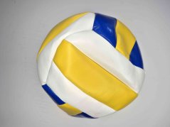 Volejbalová lopta