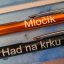 Hliníkové pero Ascot (s možnosťou gravírovania) - Hliníkové pero Ascot s gravírovaním na jednej strane: 30 ks
