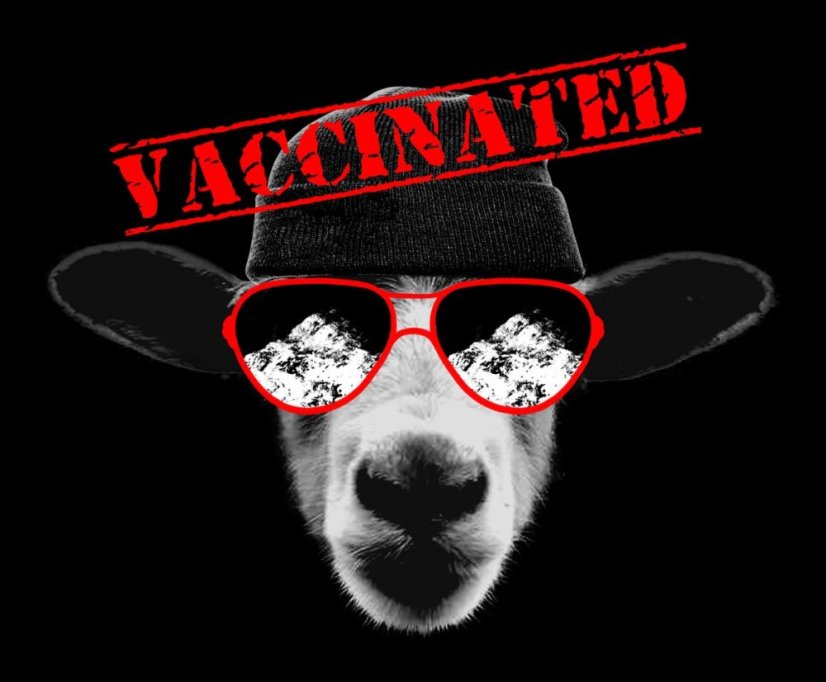 Tričko: Som ovca. Vakcinovaná - Veľkosť: S