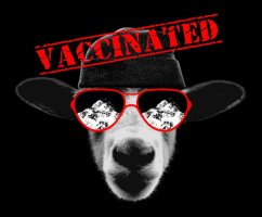 Tričko: Som ovca. Vakcinovaná